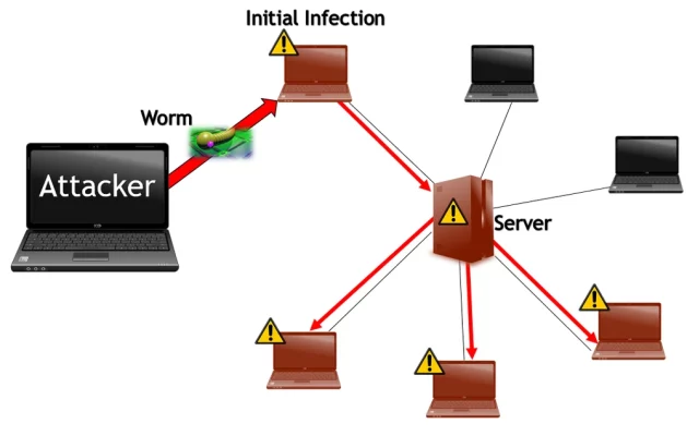 Worm_image
